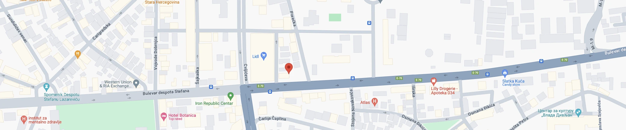 Google location map